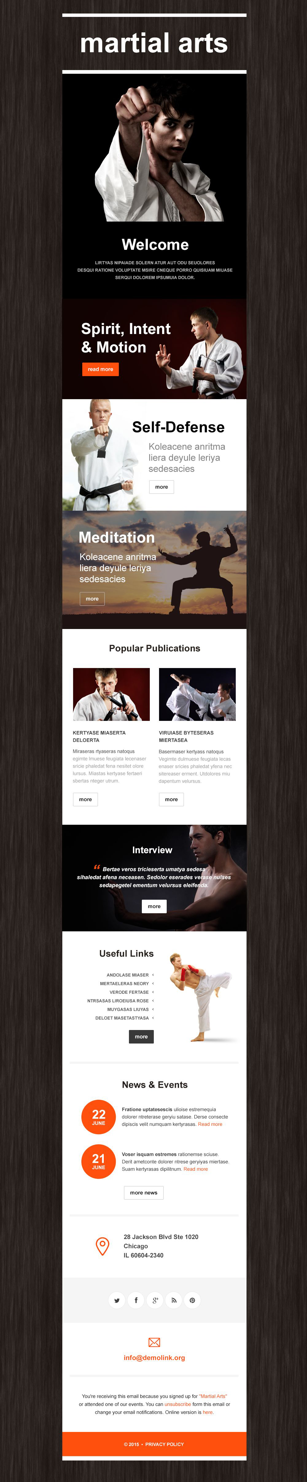 Martial Arts Responsive Newsletter Template