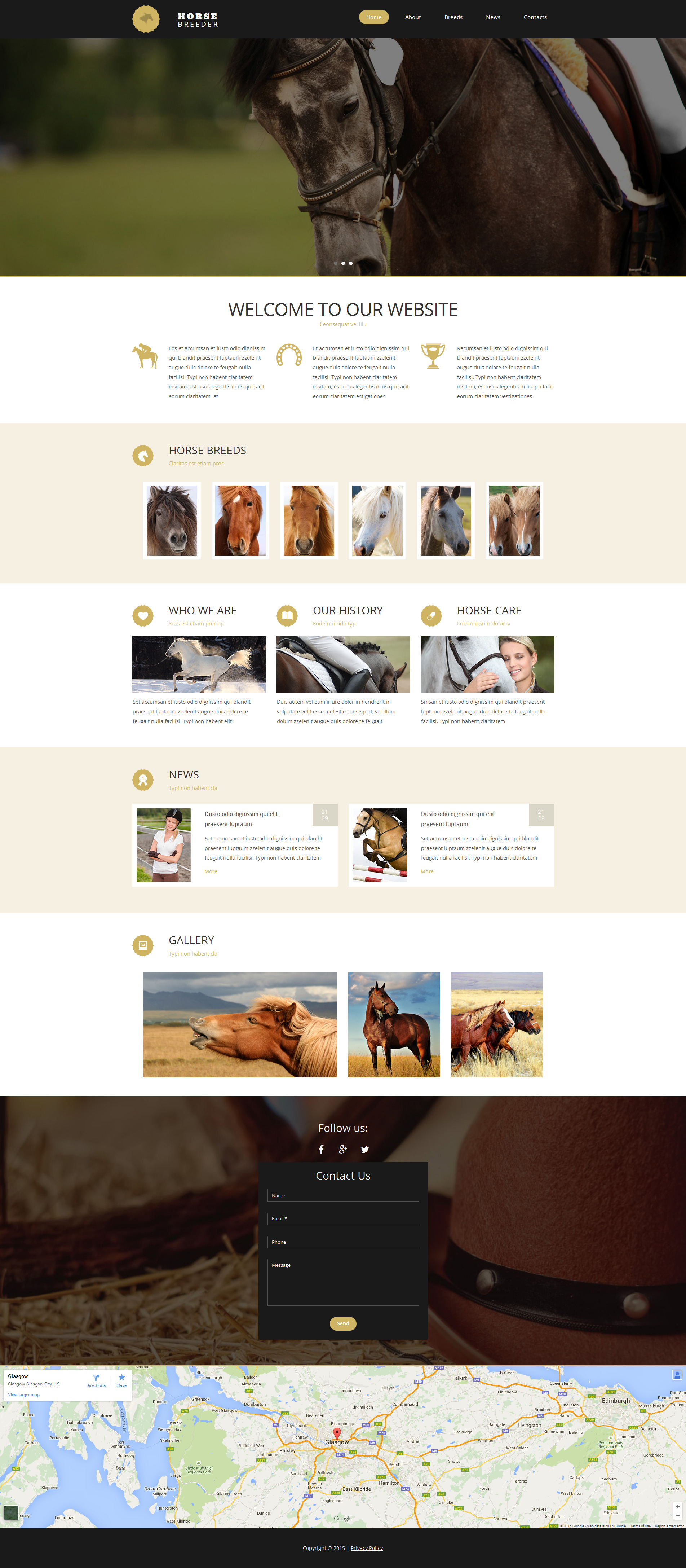 Moto CMS 3 Templates