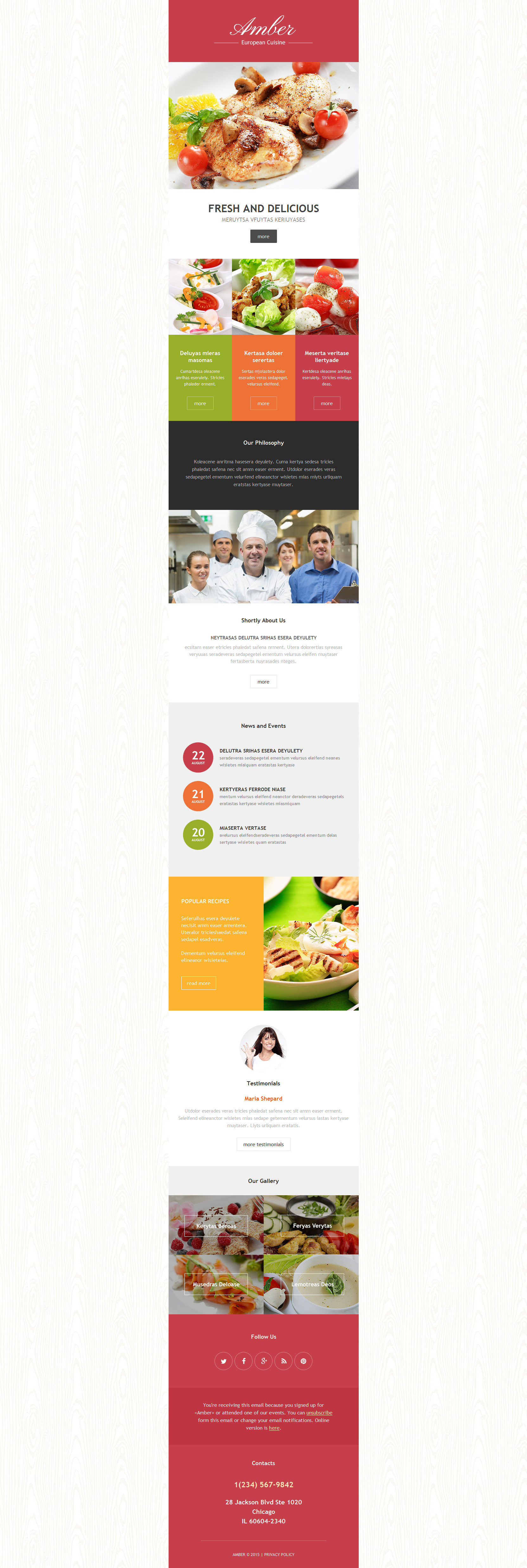 European Restaurant Responsive Newsletter Template