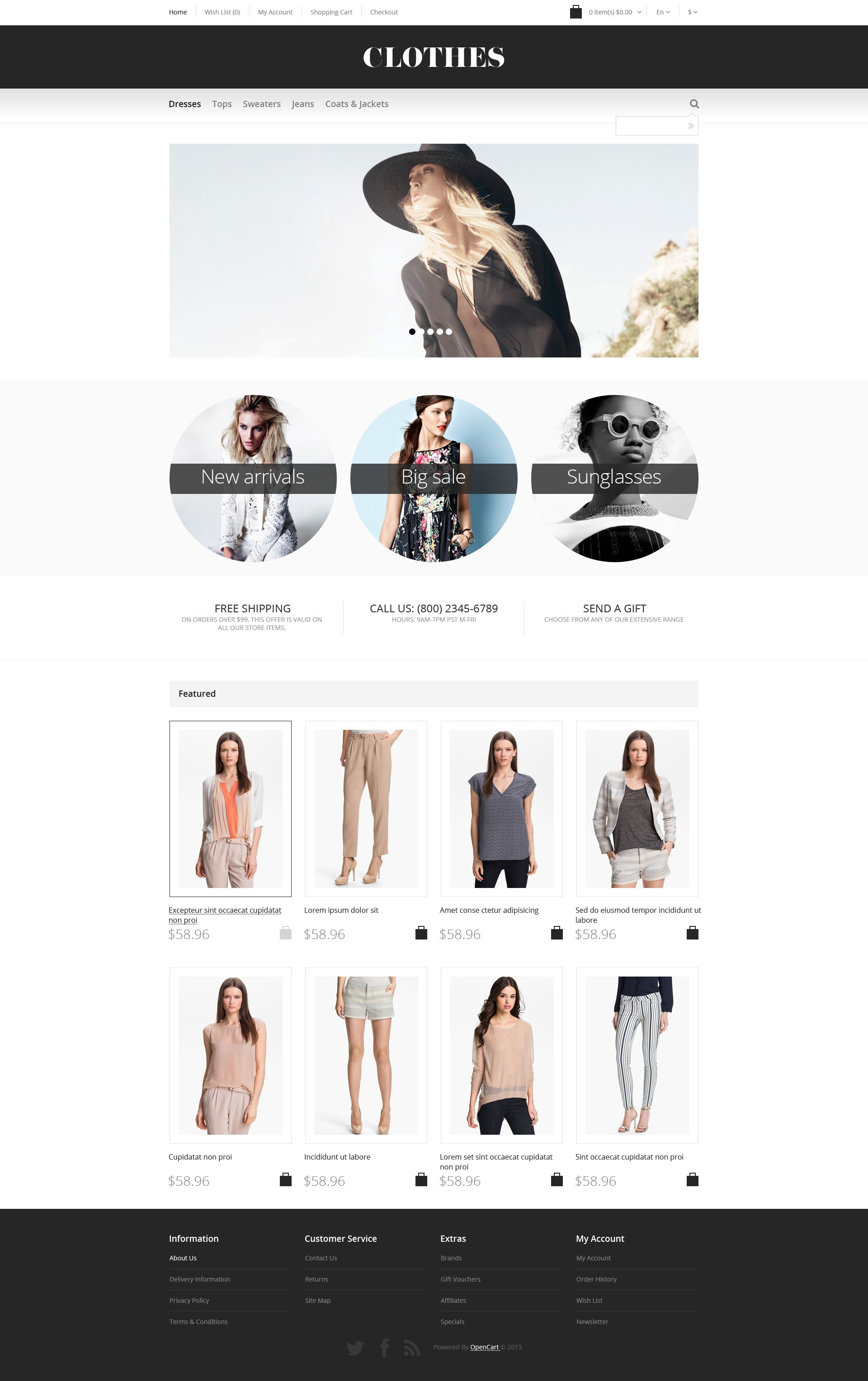 Apparel Responsive OpenCart Template