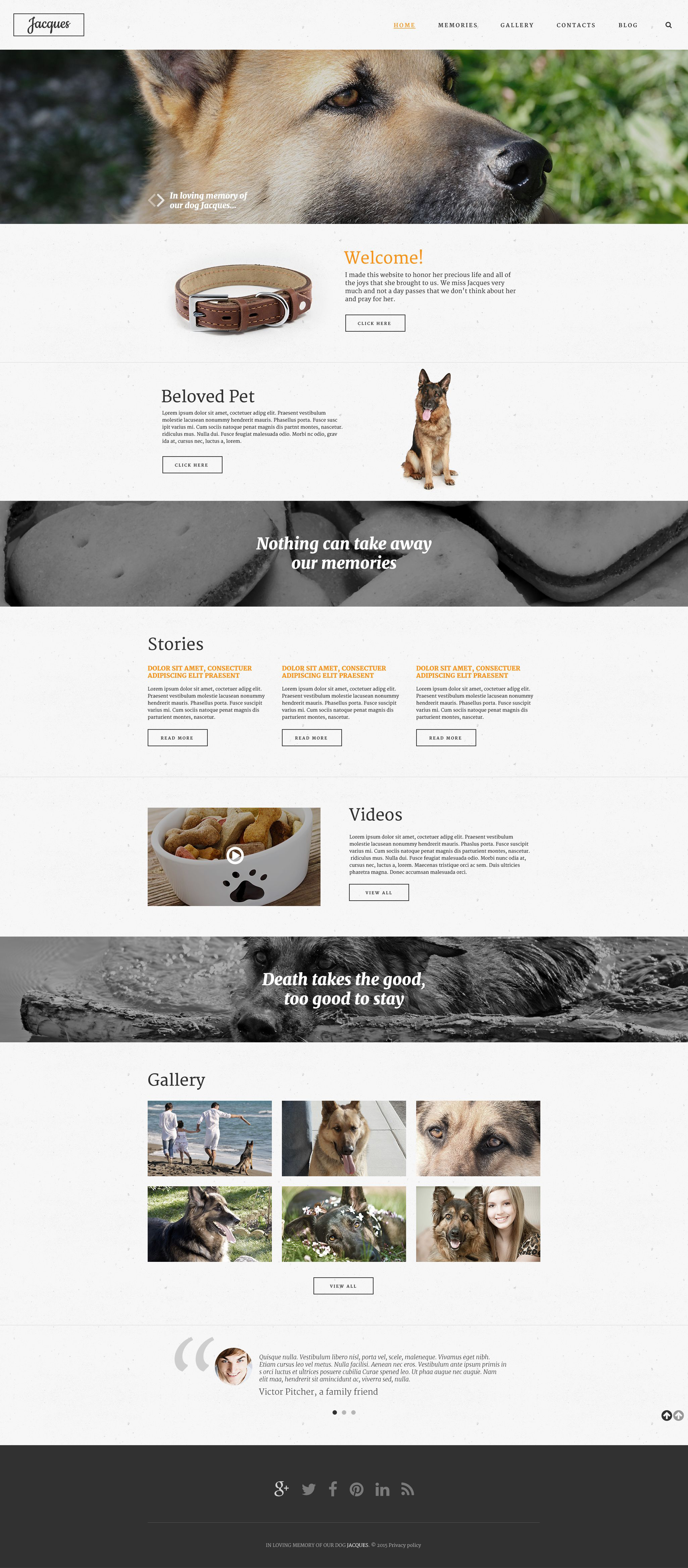 Website Templates