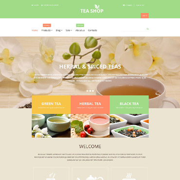 Template Shopify #55361