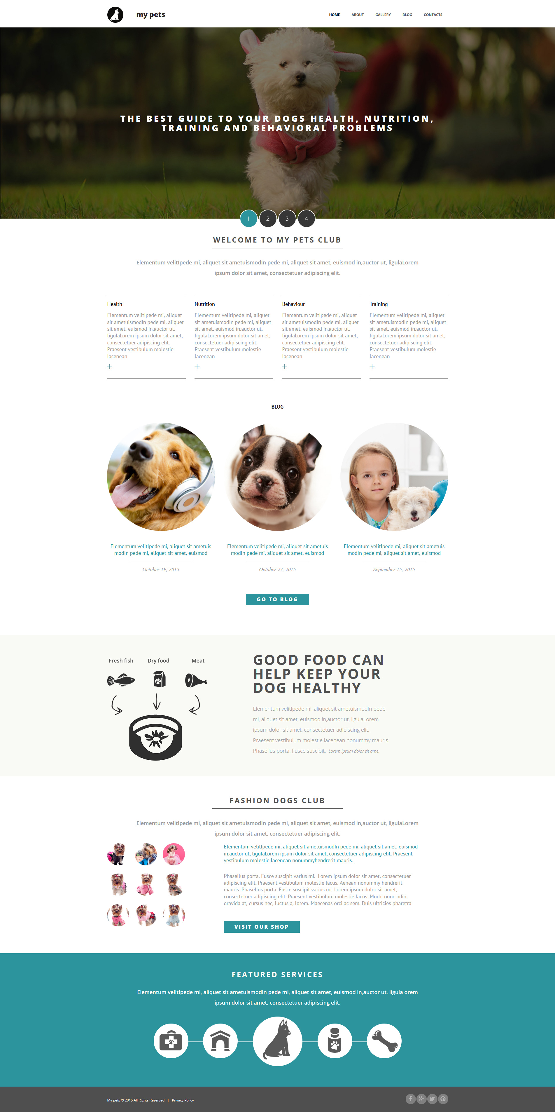 Pet Shop Moto CMS 3 Template