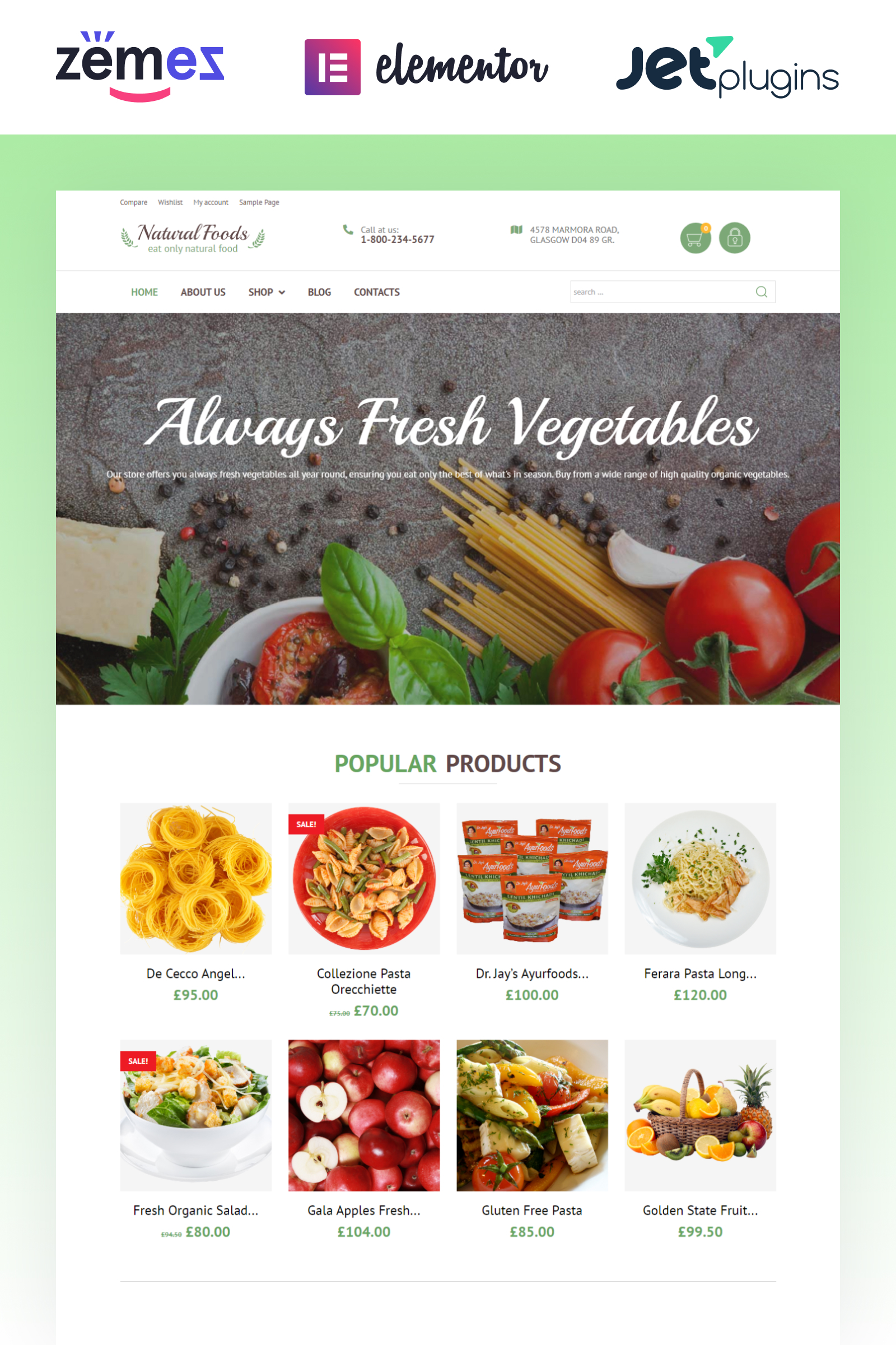 Natural Foods - Organic Food Template for Online Stores WooCommerce Theme