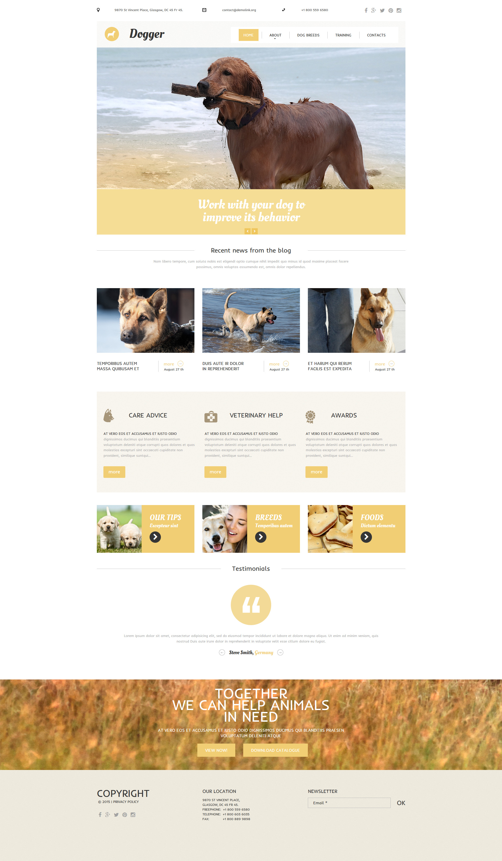 Dog Moto CMS 3 Template