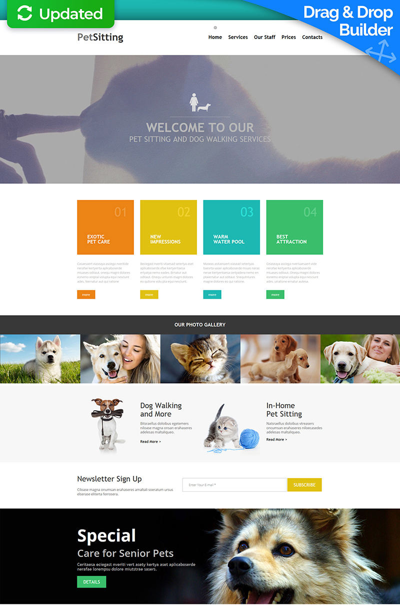 Moto CMS 3 Templates