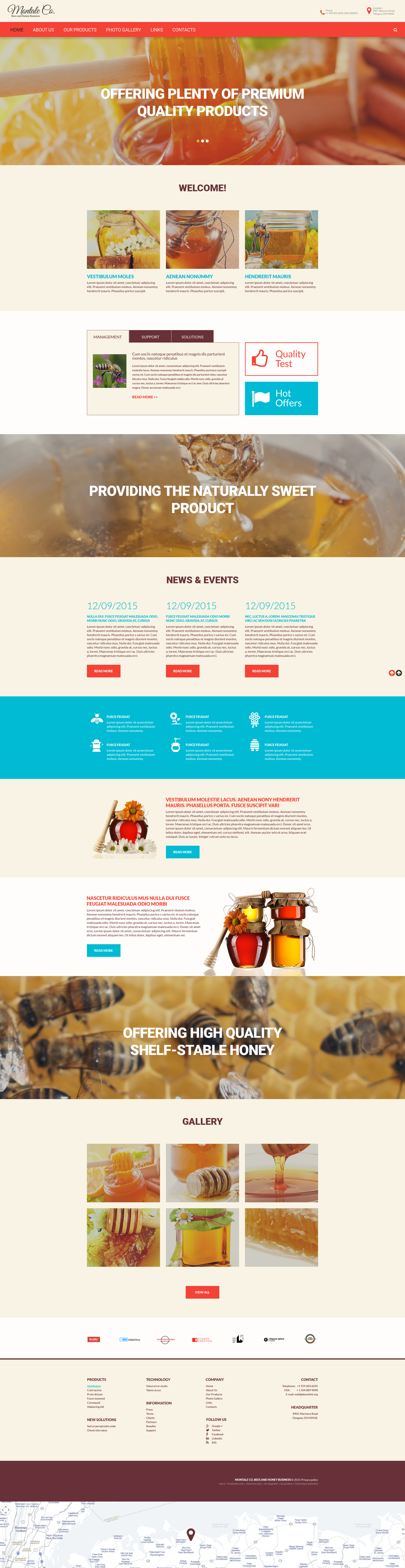 Templates de Site