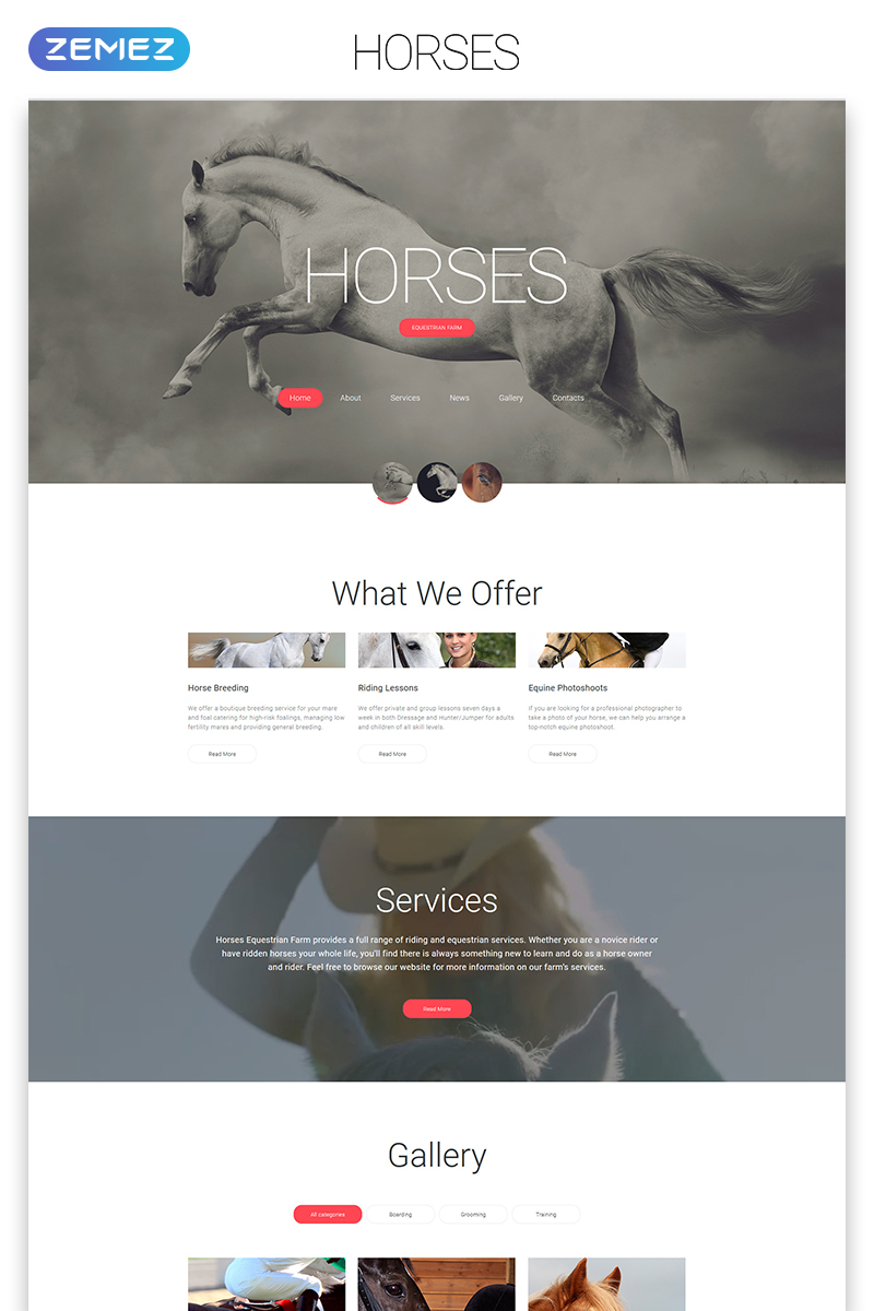 Website Templates