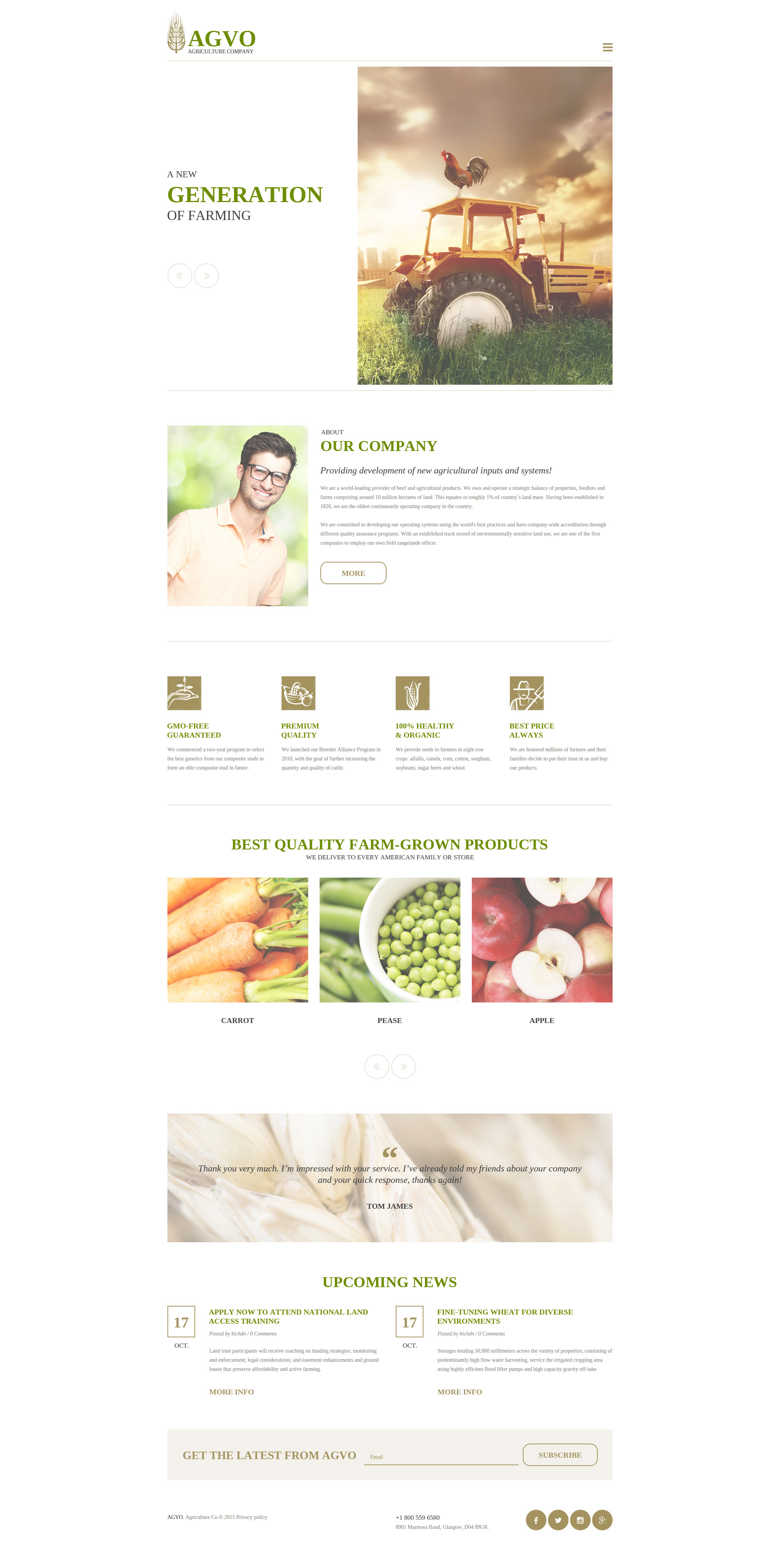 Website Templates