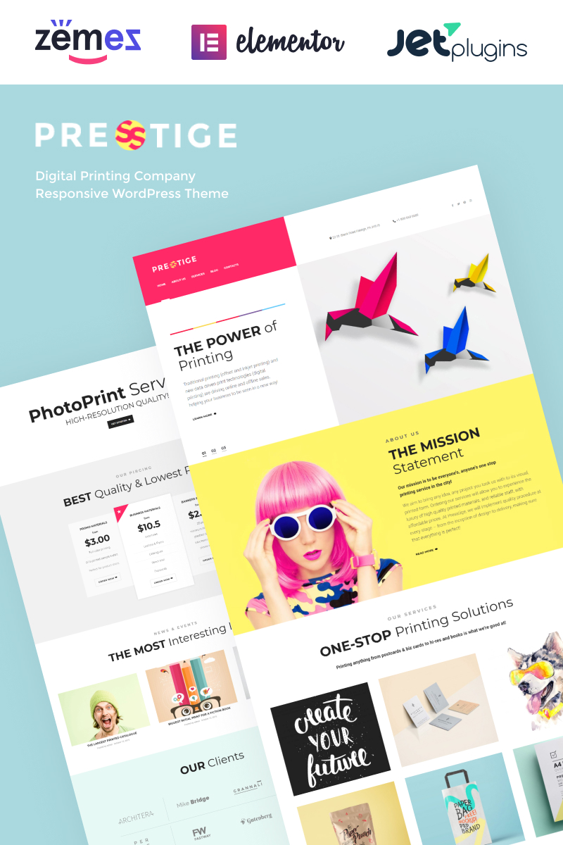 WordPress Themes