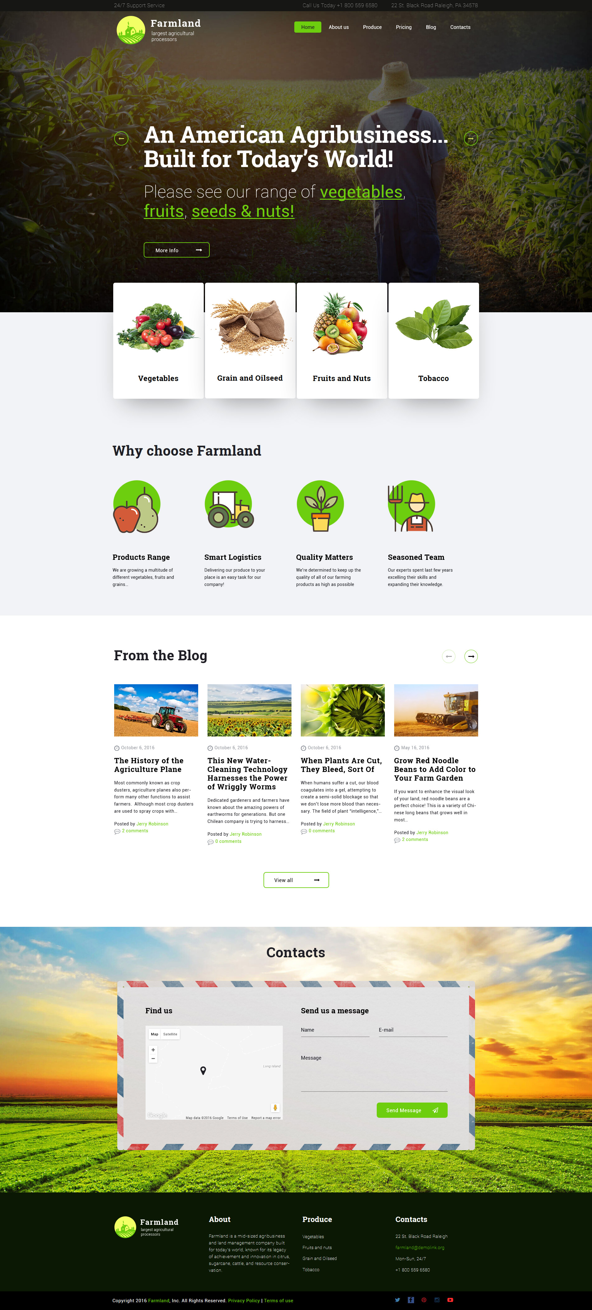 WordPress Themes