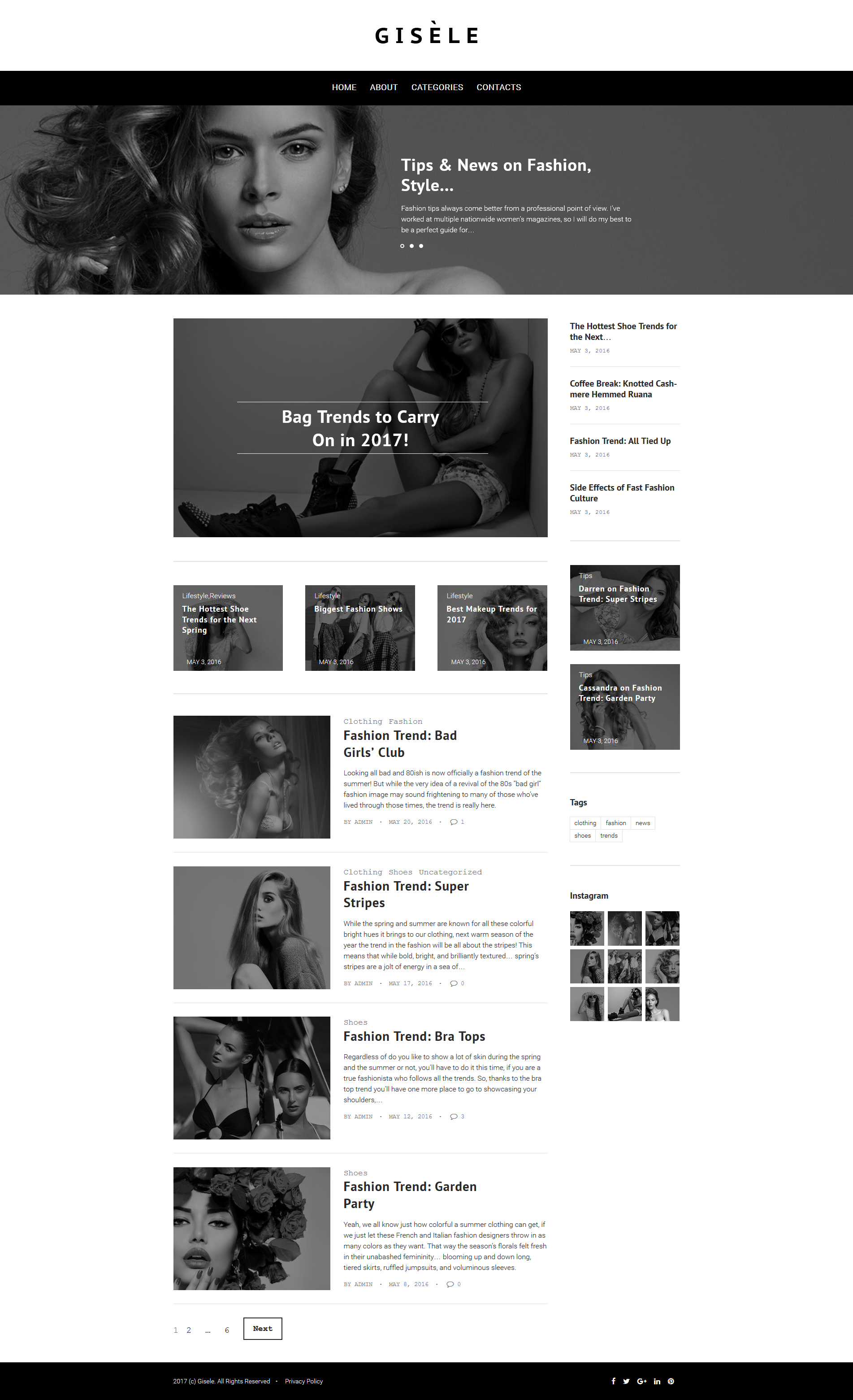 Thèmes WordPress