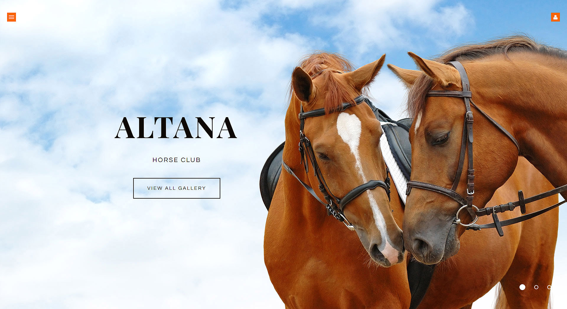 Horse Responsive Joomla Template