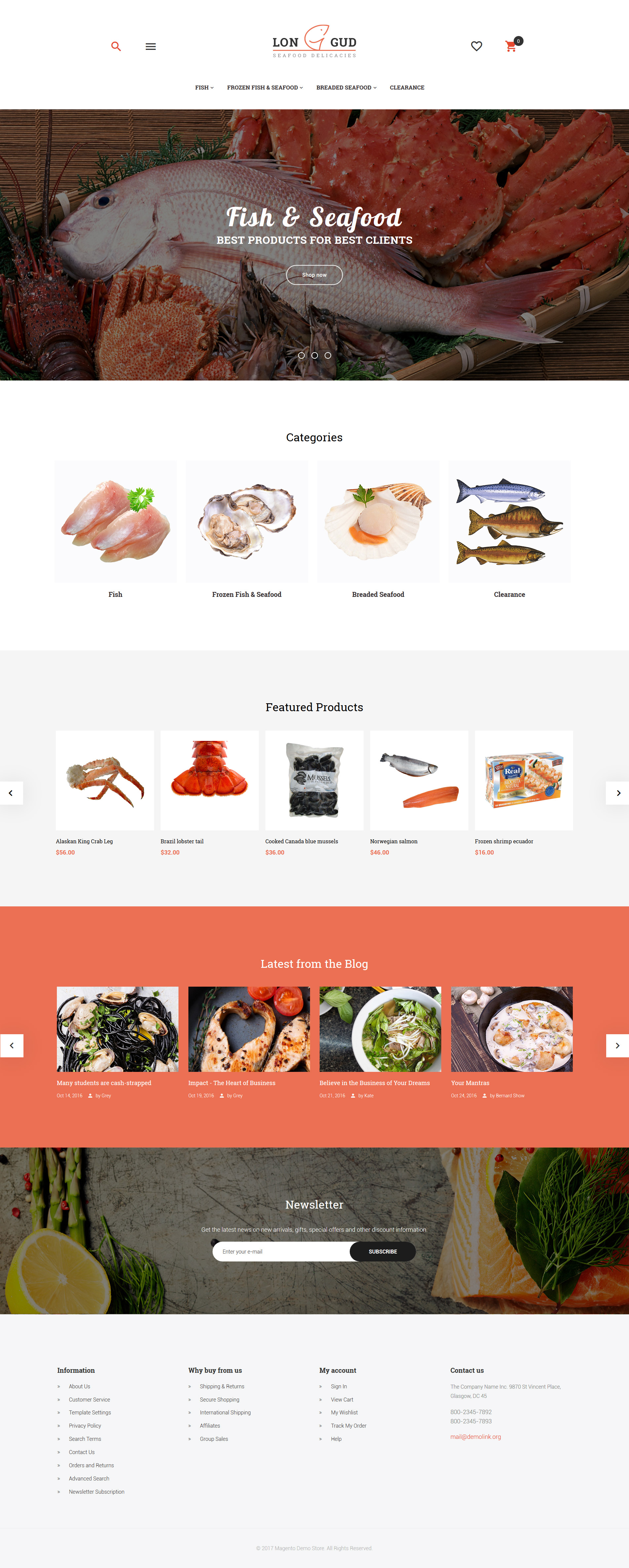 Magento Themes