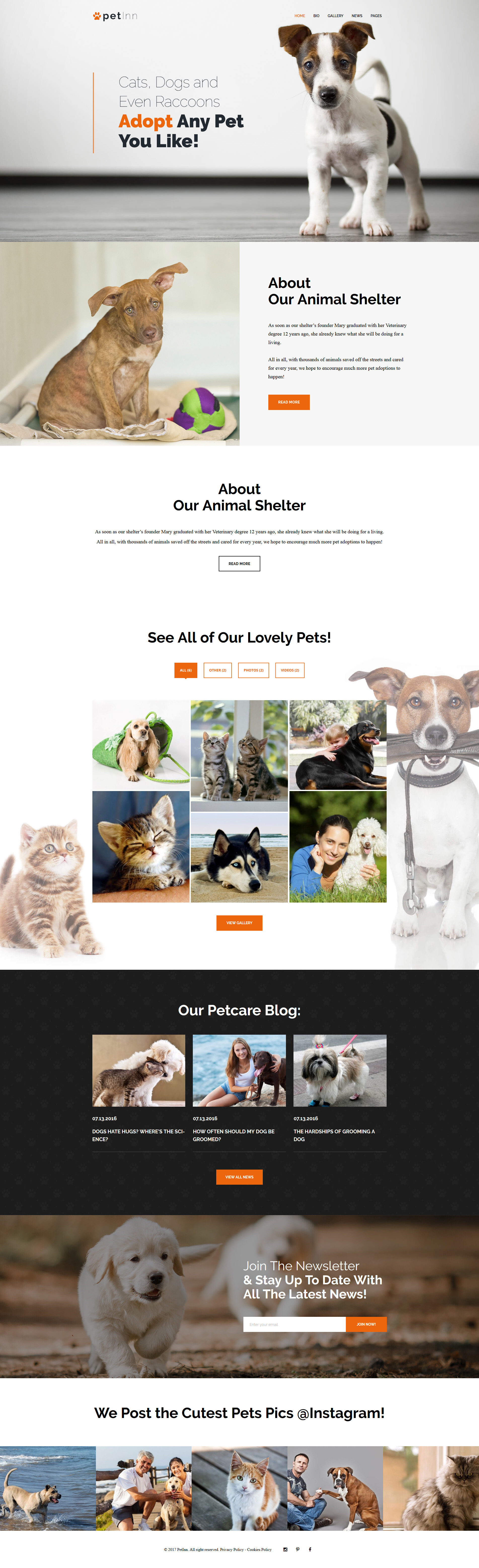 PetInn - Animal Shelter Responsive WordPress Theme