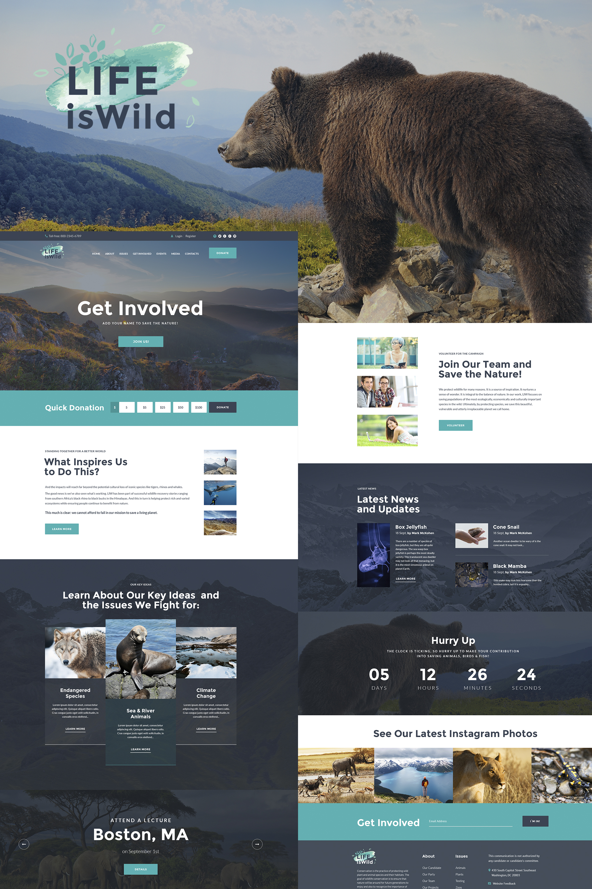 WordPress Themes