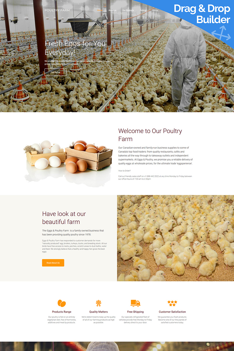 Poultry Farm Premium Moto CMS 3 Template