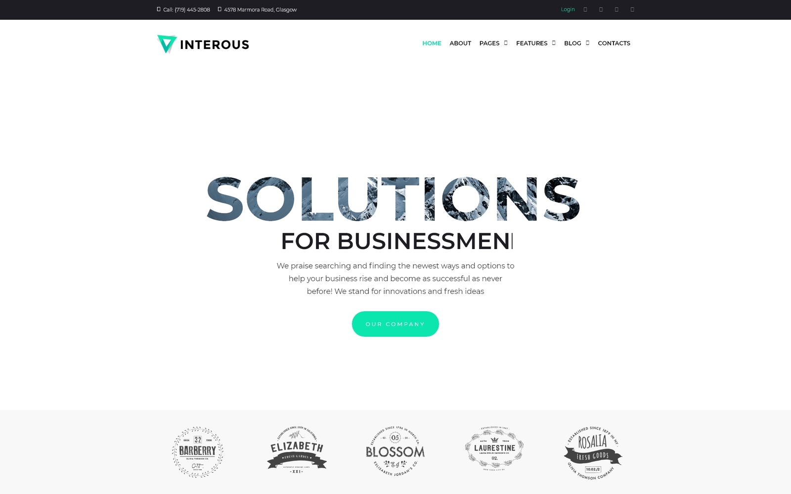 WordPress Themes