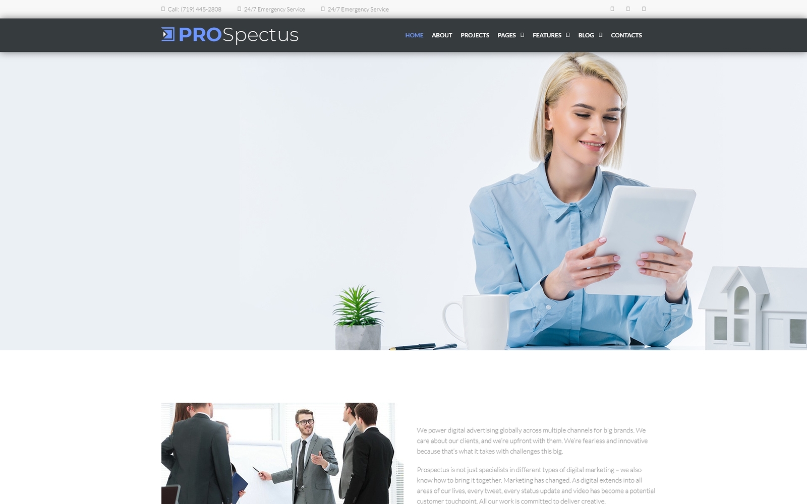 WordPress Themes