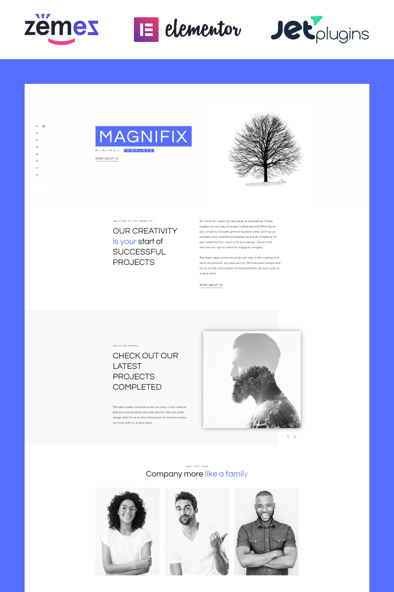 Magnifix - Minimal Parallax WordPress Theme