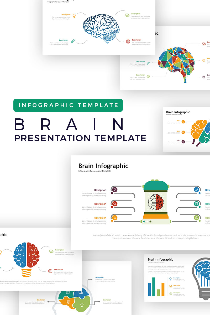 Brain Presentation -  Infographic PowerPoint template