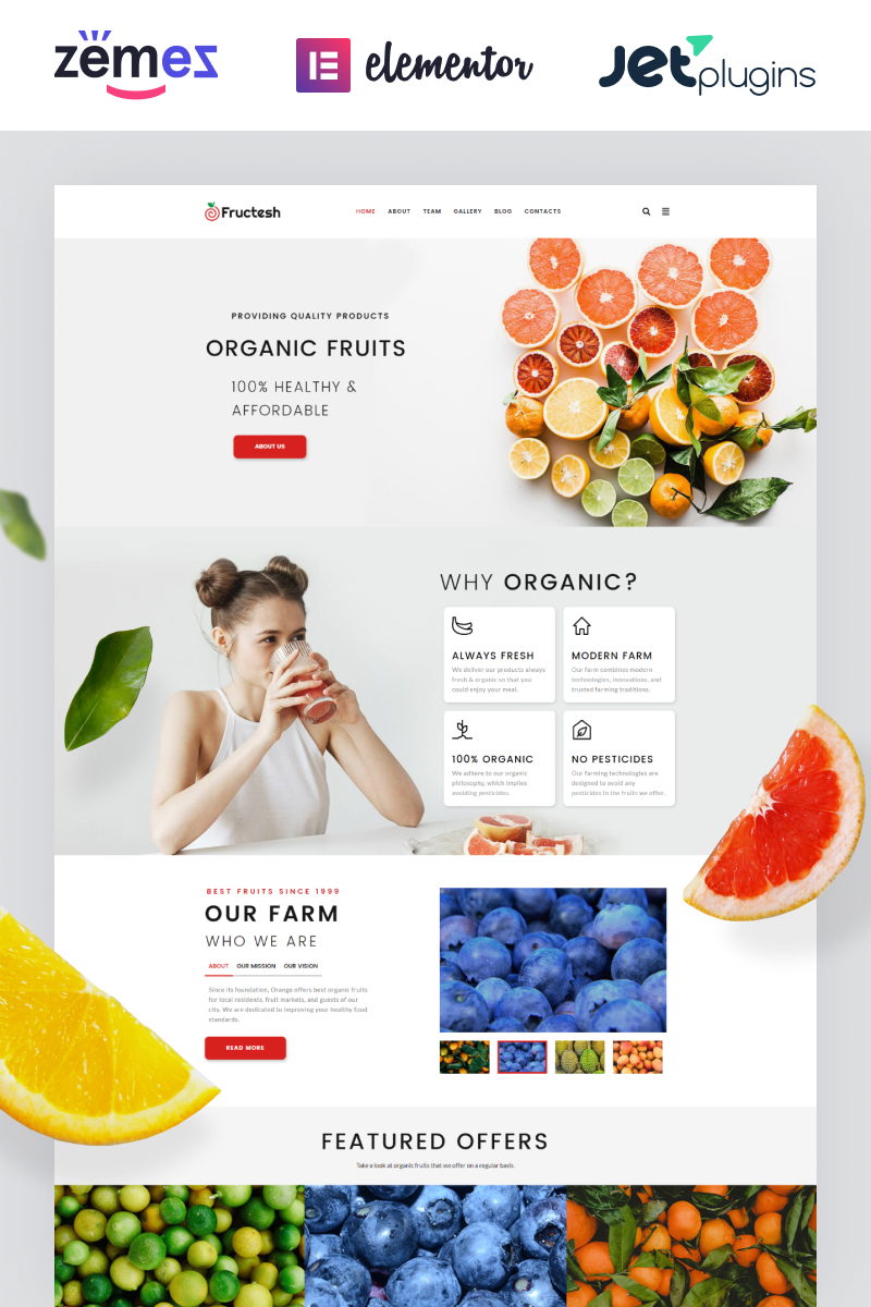Fructesh - Organic Fruits Delivery Multipurpose Modern WordPress Elementor Theme