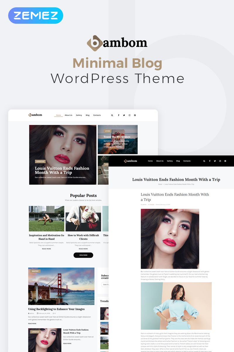 WordPress Themes