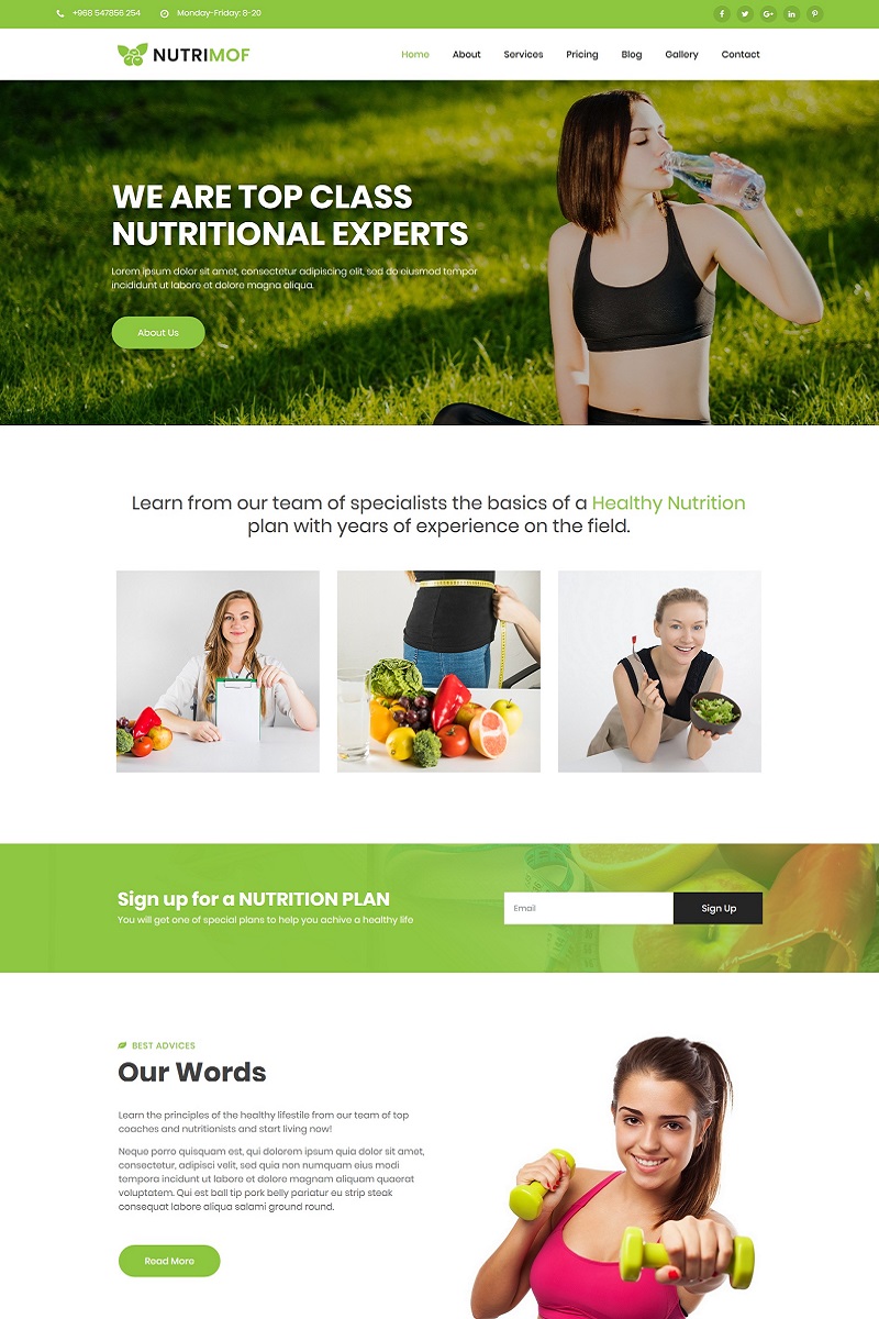 Nutrimof - Nutritional & Health Joomla Template