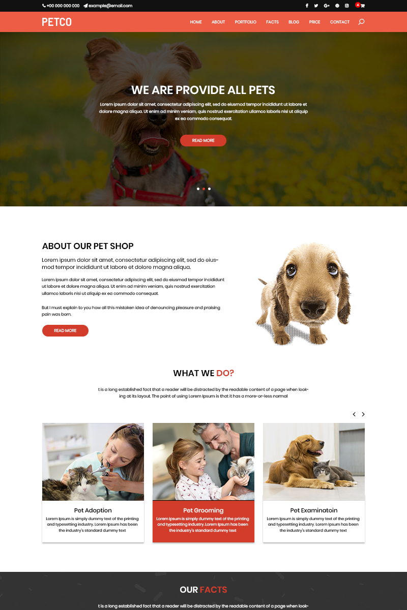 PSD Templates