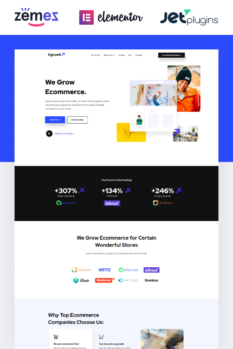 Egrowit - Digital Marketing Consultant WordPress Elementor Theme