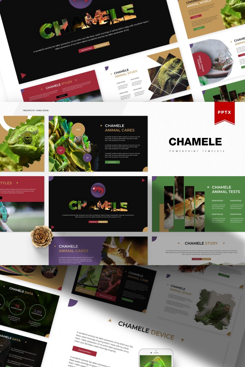 Chamele | PowerPoint template