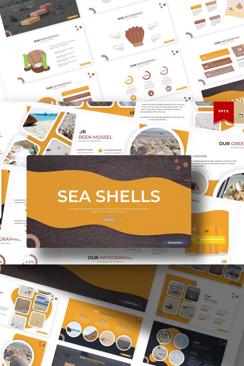 Sea Shells | PowerPoint template