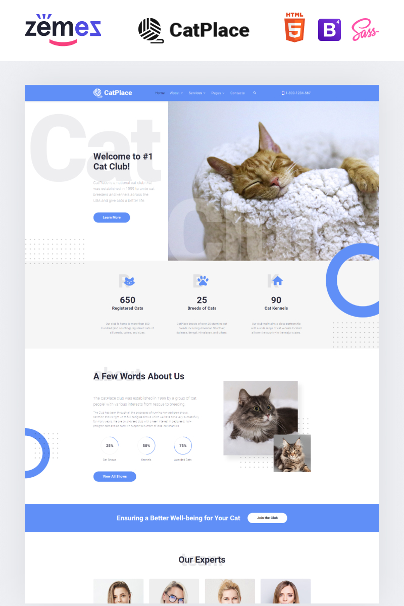 Cat Place - Animals & Pets Multipage HTML Website Template