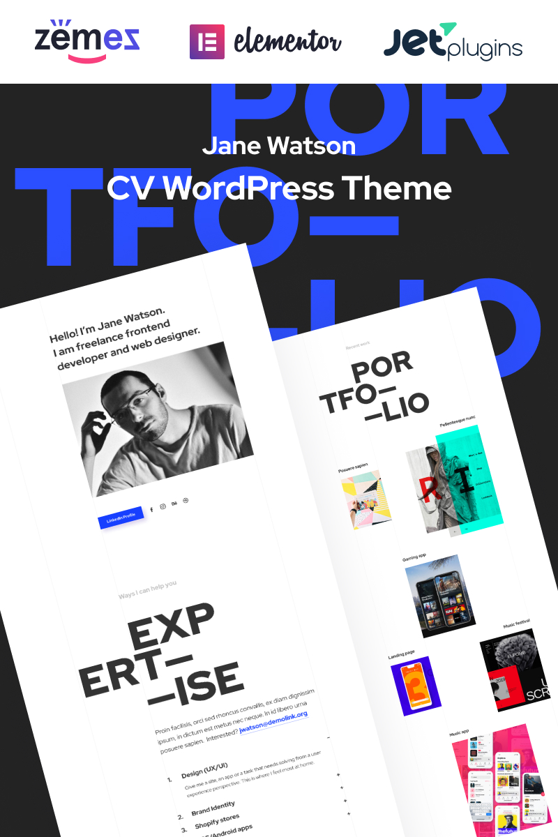 WordPress CMS Πρότυπα