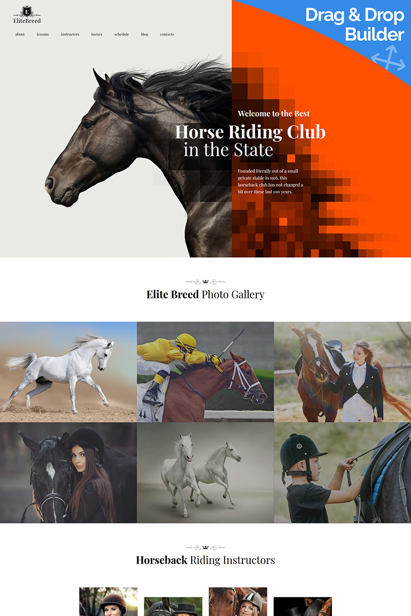 Elite Breed - Horse Riding Club Moto CMS 3 Template