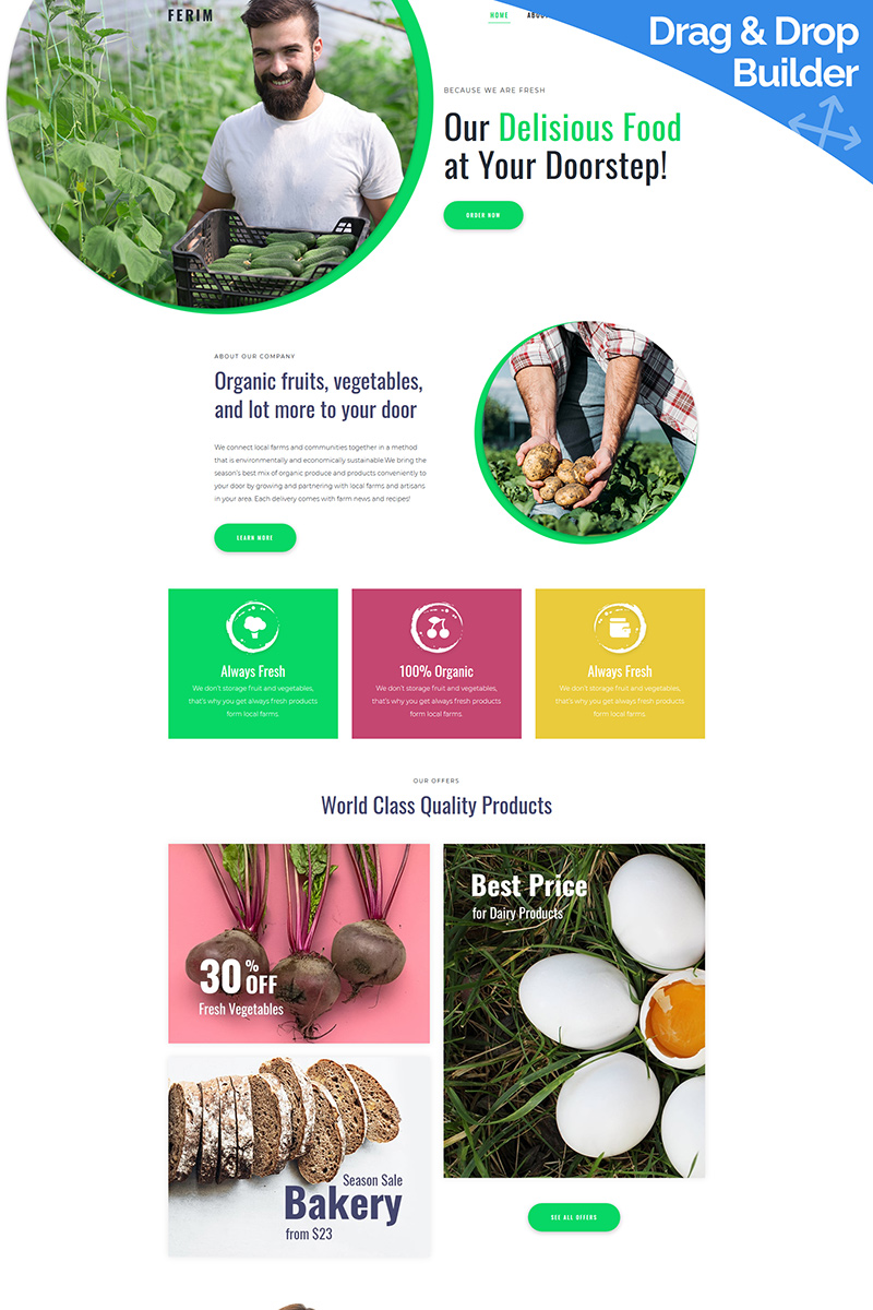Ferim - Food Delivery Moto CMS 3 Template