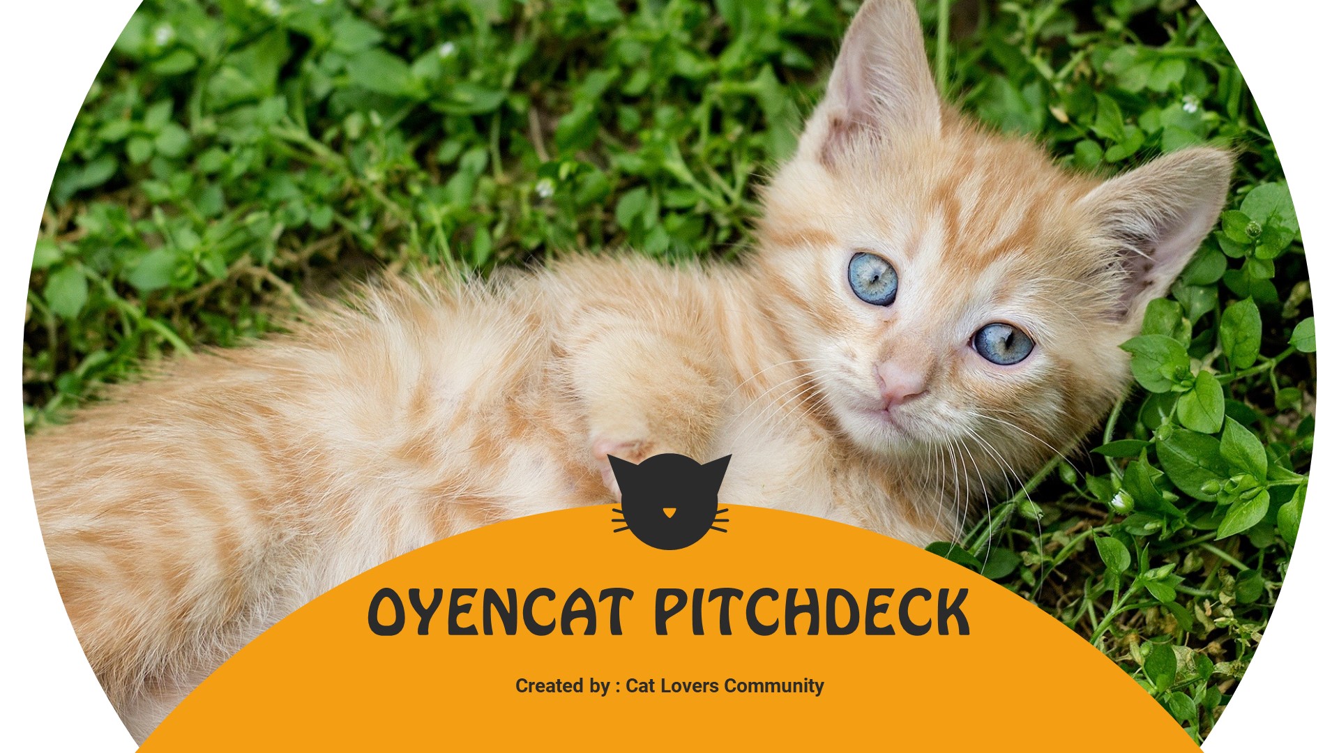 oyencat-creative-cat-powerpoint-template-for-19