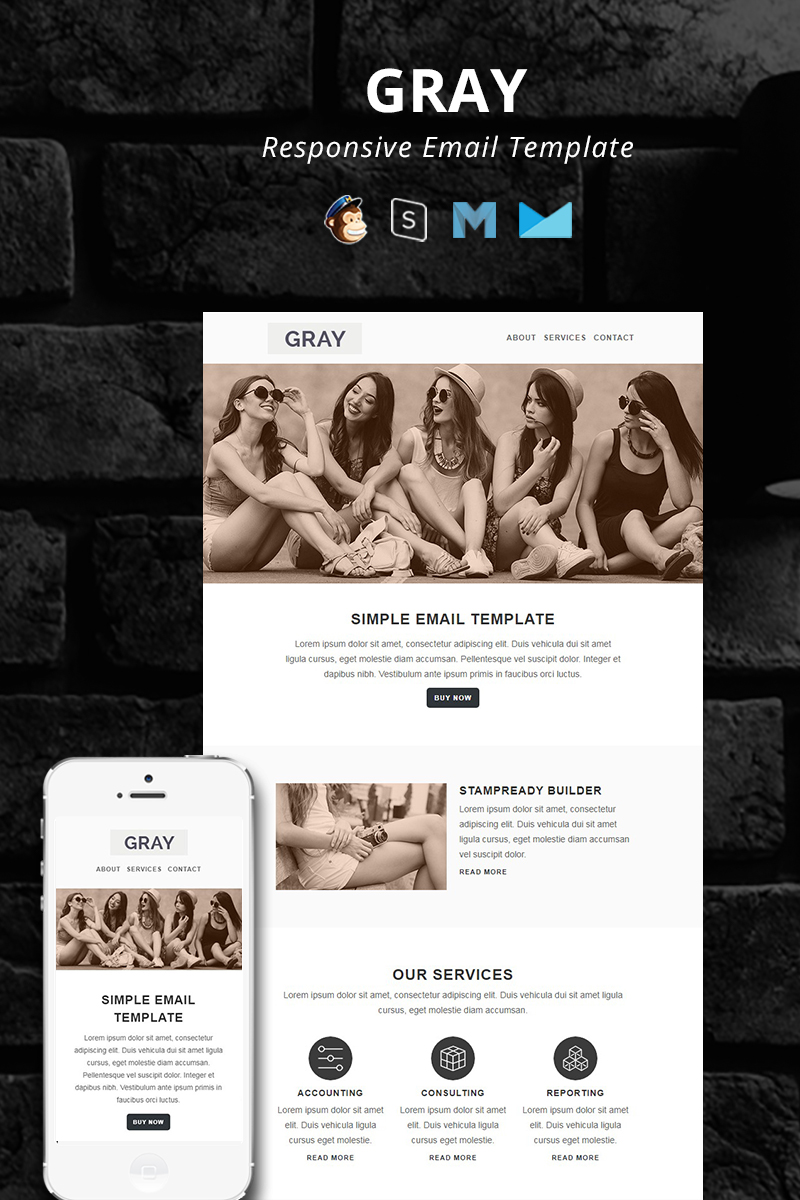 GRAY - Responsive Email Newsletter Template