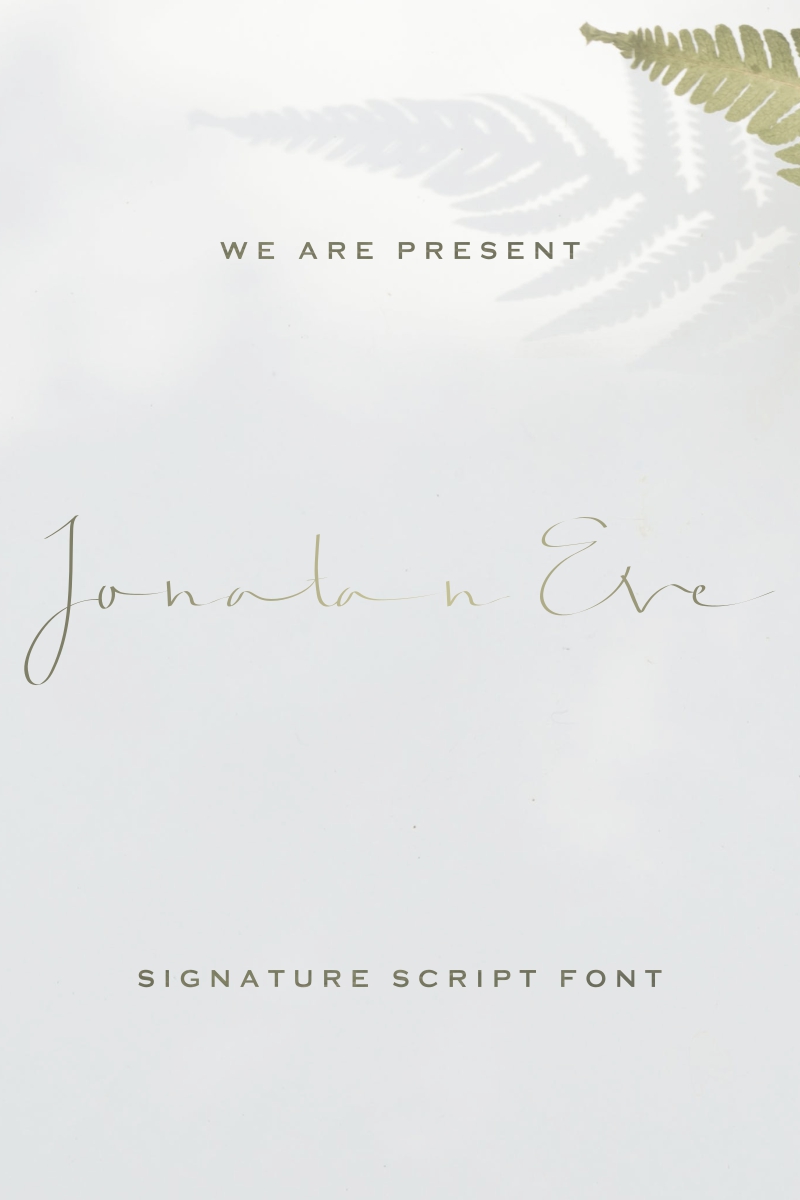 Fonts