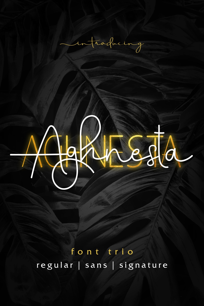 Fonts