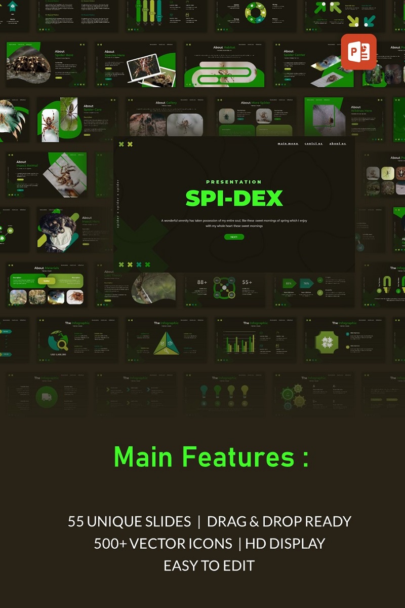 Spidex Multipurpose PowerPoint Presentation