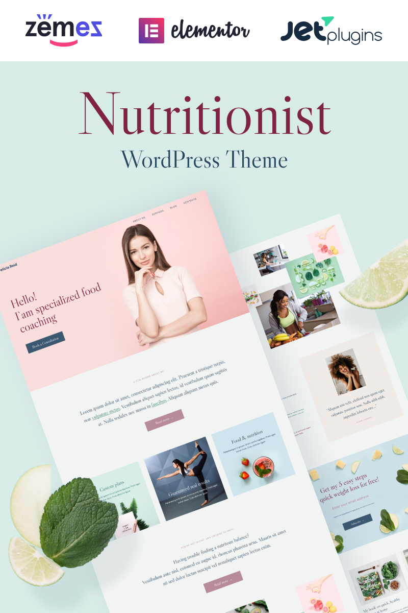 WordPress Themes